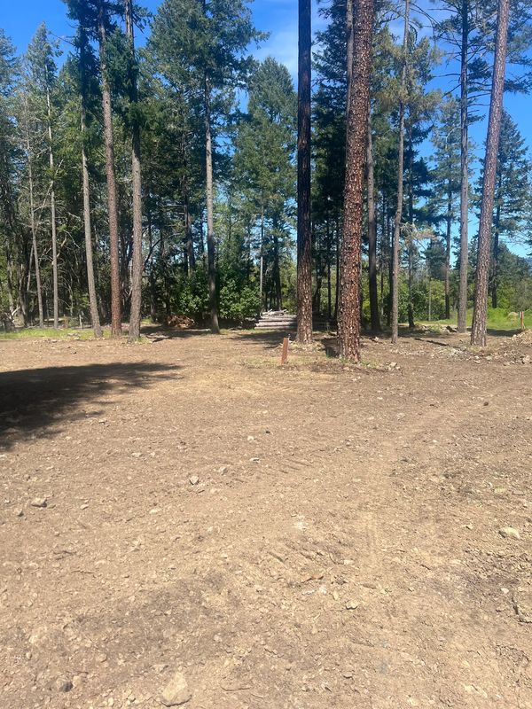 Graded, leveled clearing among tall pines after land clearing and stump removal on a Southern Oregon property