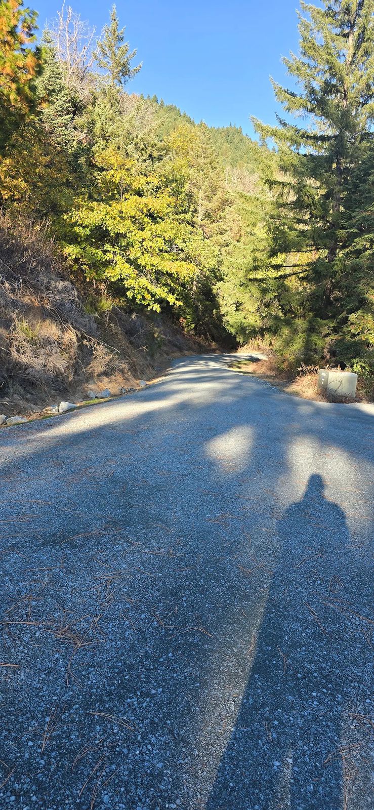 Smoothly graded gravel driveway and rural road running through a forested Southern Oregon property