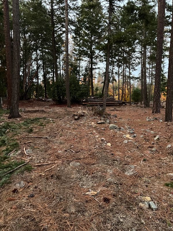 Forested property cleared of brush and undergrowth with logs stacked during land clearing in Southern Oregon